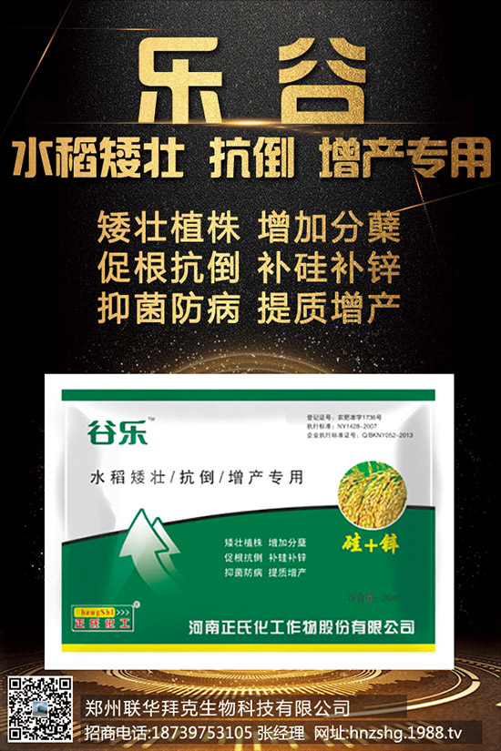 2020年粮补、粮价重大变革？3大信号！农民需了解！