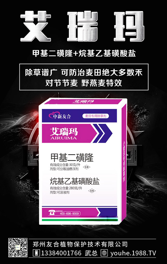 永安：开展农药经营许可证实地检查，保护林业生产及生态环境